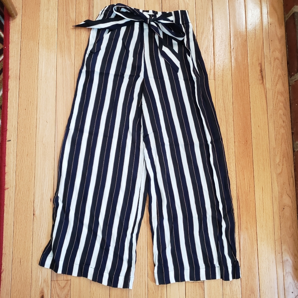 Aritzia Wilfred Pant Women XS Wide Leg Tie Front Stripe Nanterre High rise Baggy